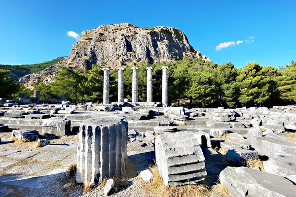 Didim - Milet - Priene Turu