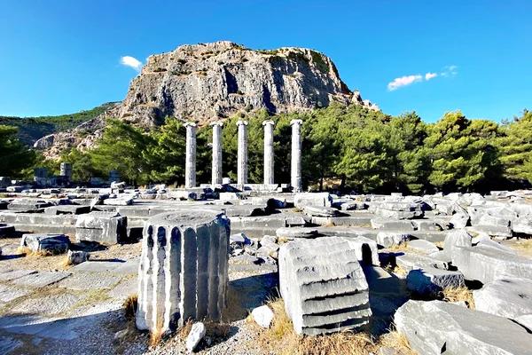 Didim - Milet - Priene Turu